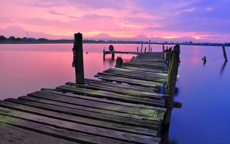 樱桃文化故事分类